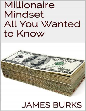 Book cover of Millionaire Mindset: All You Wanted to Know