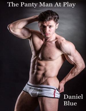 Cover of the book The Panty Man At Play by Damon Damarr