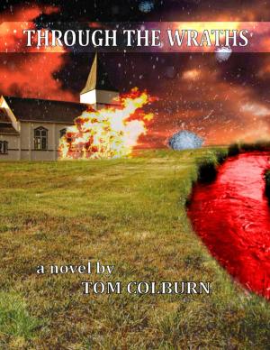 Cover of the book Through the Wraths by Jesse W. Thompson