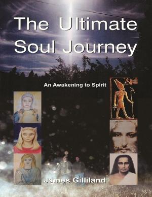Cover of the book The Ultimate Soul Journey by Israel Moor-X Bey El