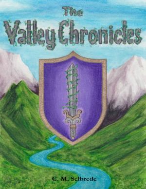 Cover of the book The Valley Chronicles by Rhys A Wilcox
