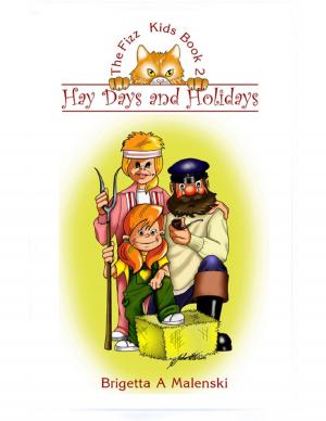 Cover of the book Hay Days and Holidays by Robert Stetson