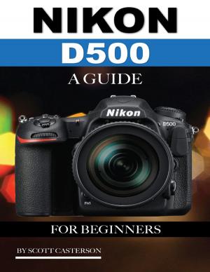 Cover of the book Nikon D500: A Guide for Beginners by jrgeometry