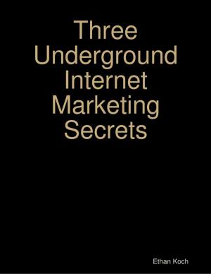 Cover of the book Three Underground Internet Marketing Secrets by John David Heeb