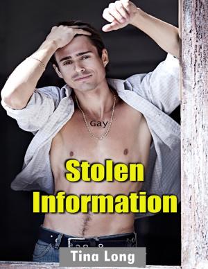 Cover of the book Gay: Stolen Information by Penelope Stewart