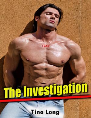 bigCover of the book Gay: The Investigation by 