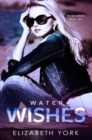 bigCover of the book Water Wishes by 