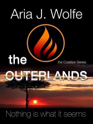 bigCover of the book The Outerlands by 