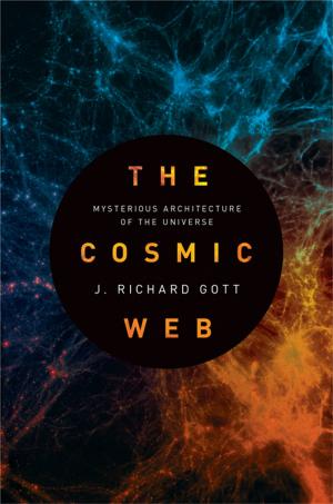 bigCover of the book The Cosmic Web by 