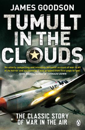 Cover of the book Tumult in the Clouds by Danni Levy