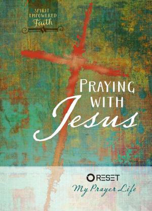 Cover of the book Praying with Jesus by Diane Paddison, Jordan Johnstone