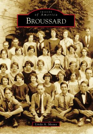 Cover of the book Broussard by Bob Dougherty