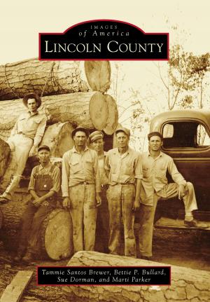 Cover of the book Lincoln County by Jeanne K. Pirtle