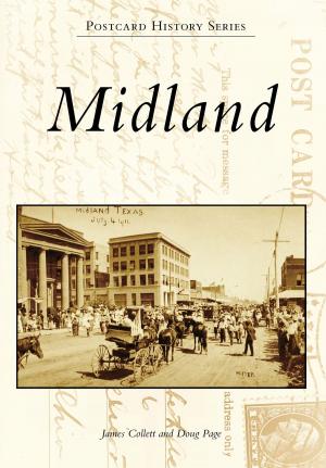 Cover of the book Midland by Scott Rutherford