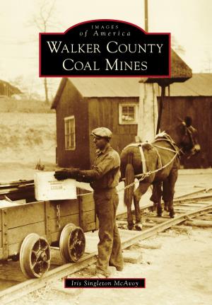 Cover of the book Walker County Coal Mines by Curtis C. Roseman, Ruth Wallach, Dace Taube, Linda McCann
