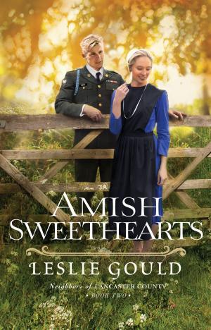 Cover of the book Amish Sweethearts (Neighbors of Lancaster County Book #2) by Olivia Newport