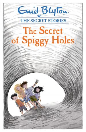 Cover of the book The Secret of Spiggy Holes by Jack Chaucer