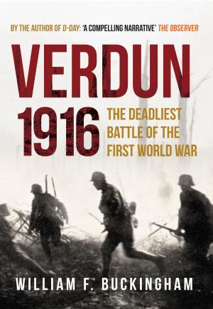 Book cover of Verdun 1916