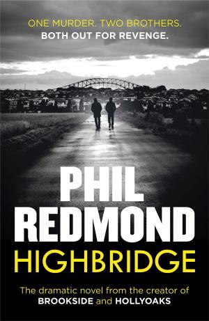 Cover of the book Highbridge by Pieter Aspe