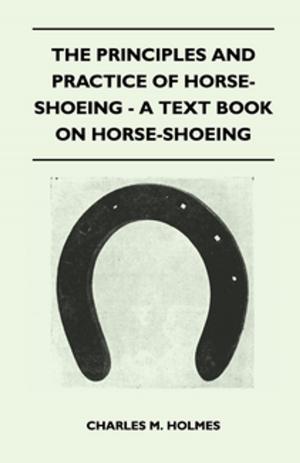 Book cover of The Principles and Practice of Horse-Shoeing - A Text Book on Horse-Shoeing