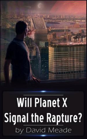Cover of the book Will Planet X Signal the Rapture? by Pamela Dewey