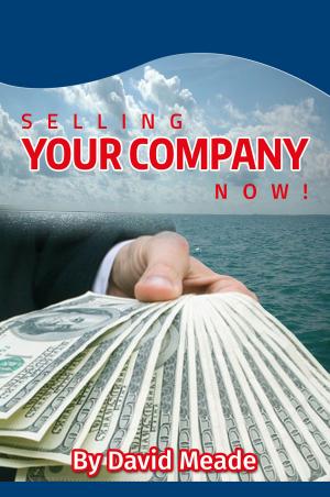 Cover of the book Selling Your Company Now! by Christy Barritt