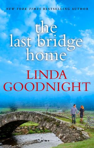Cover of the book The Last Bridge Home by Barbara Wallace