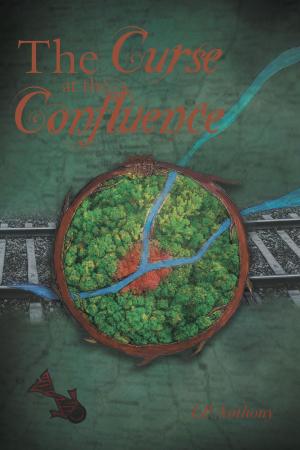 Cover of the book The Curse at the Confluence by Julie Côté