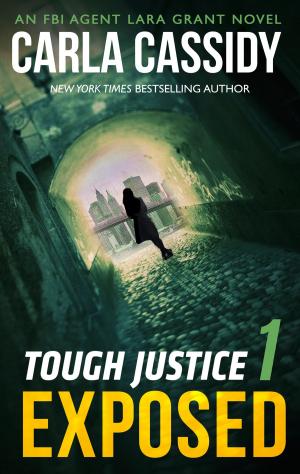 Cover of the book Tough Justice: Exposed (Part 1 of 8) by Maria V. Snyder