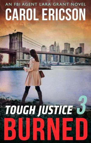 Cover of the book Tough Justice: Burned (Part 3 of 8) by Terence O'Grady