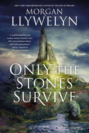 Book cover of Only the Stones Survive
