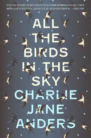 Cover of the book All the Birds in the Sky by Lynn Abbey
