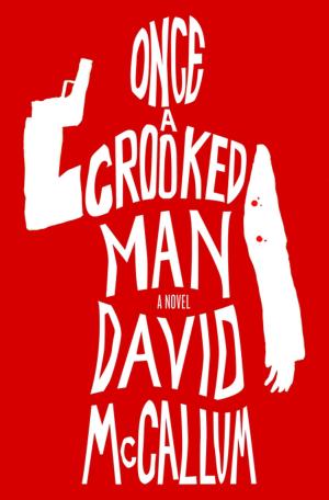 Cover of the book Once a Crooked Man by Caitlin Kittredge