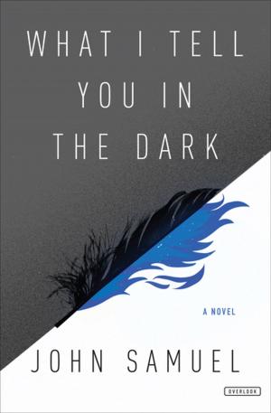 Cover of the book What I Tell You in the Dark by Tarn Richardson