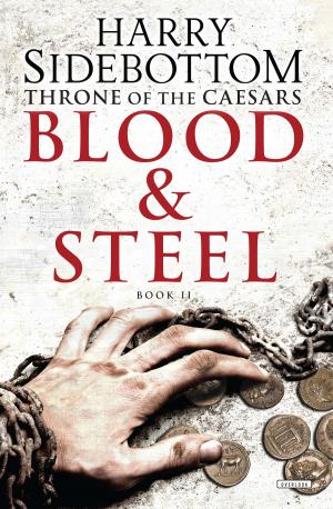 Cover of the book Blood and Steel by Christoph Niemann