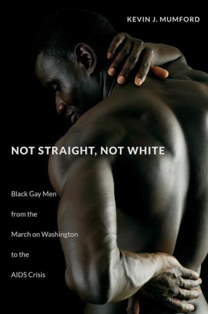 Cover of the book Not Straight, Not White by Richard King