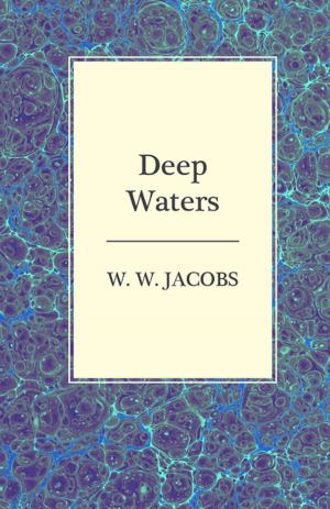 Cover of the book Deep Waters by Johann Sebastian Bach