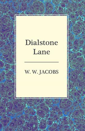 Book cover of Dialstone Lane