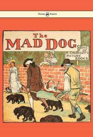 Cover of the book An Elegy on the Death of a Mad Dog - Illustrated by Randolph Caldecott by Anon