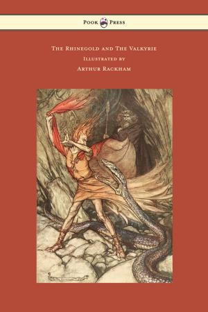 Book cover of The Rhinegold and The Valkyrie - The Ring of the Niblung - Volume I - Illustrated by Arthur Rackham