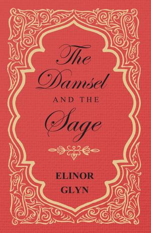 Book cover of The Damsel and the Sage