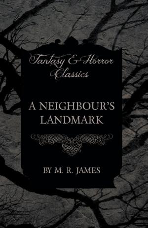 Book cover of A Neighbour's Landmark (Fantasy and Horror Classics)