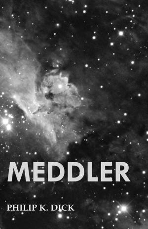 Cover of the book Meddler by Anthony Morgan-Clark