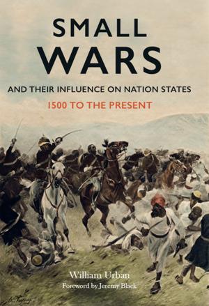 bigCover of the book Small Wars and their Influence on Nation States by 