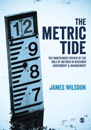 Cover of the book The Metric Tide by Dr. Judith A. Feeney, Patricia Noller