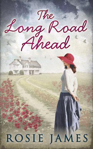 Book cover of The Long Road Ahead