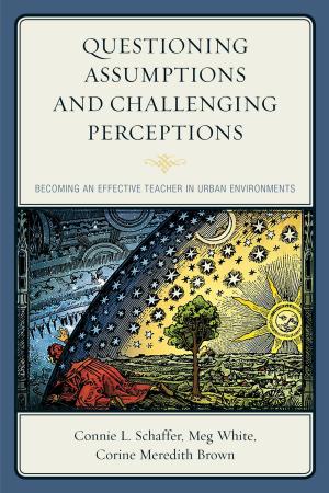 Cover of the book Questioning Assumptions and Challenging Perceptions by Michele Gingras