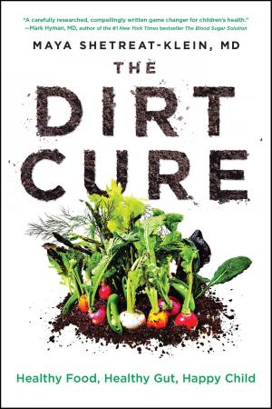 Cover of the book The Dirt Cure by Carola Lovering