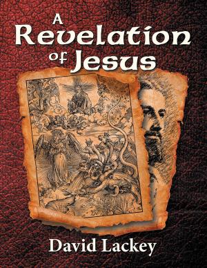 Cover of the book Revelation of Jesus, A by Pearl T. Bell