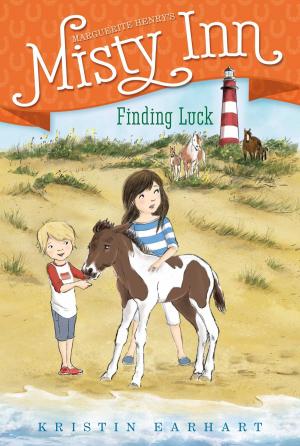 Cover of the book Finding Luck by Cynthia Voigt
